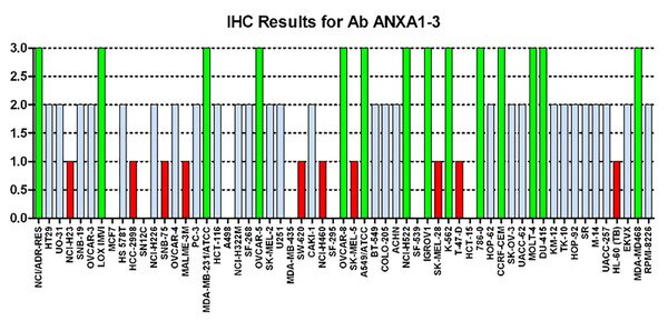 Immuno-histochemistry of CPTC-ANXA1-3 for NCI60 Cell Line Array at titer 1:100 0=NEGATIVE 1=WEAK(red) 2=MODERATE(blue) 3=STRONG(green). Result: Positive. 
